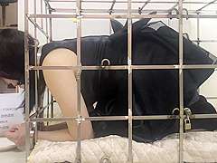 Caged Girl Vibed (chinese)