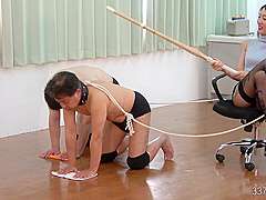Japanese Femdom Ponyplay